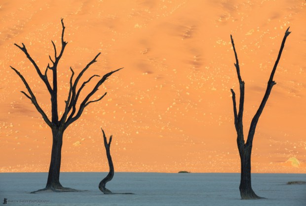 Desierto en Namibia