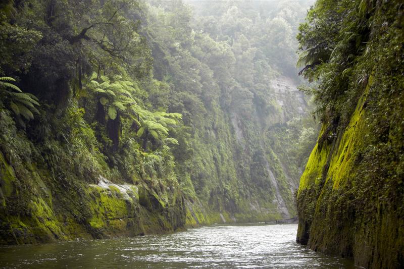 Río Whanganui